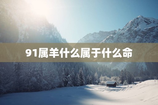 91属羊什么属于什么命