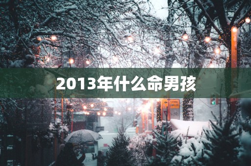 2013年什么命男孩