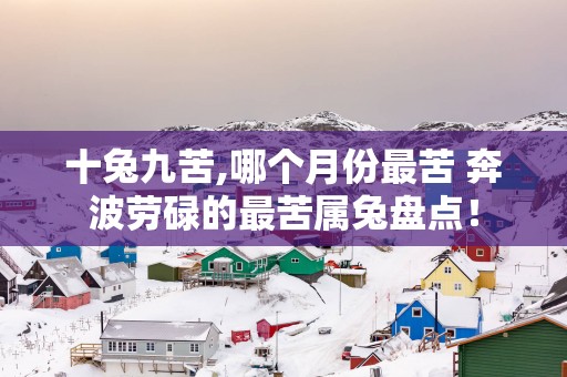 十兔九苦,哪个月份最苦 奔波劳碌的最苦属兔盘点！