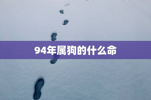 94年属狗的什么命