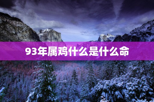 93年属鸡什么是什么命