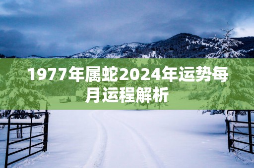 1977年属蛇2025年运势每月运程解析