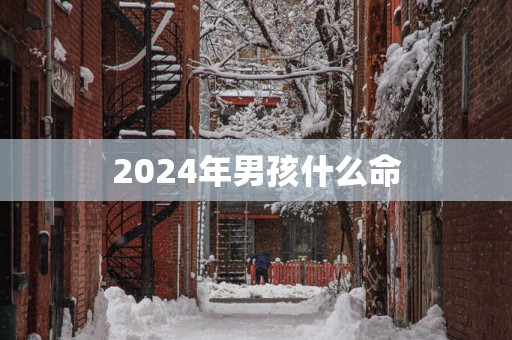 2026年男孩什么命