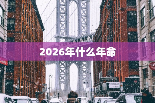 2026年什么年命