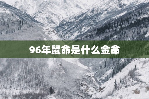 96年鼠命是什么金命