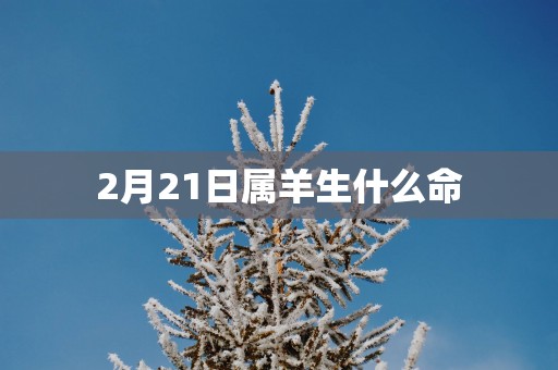 2月21日属羊生什么命
