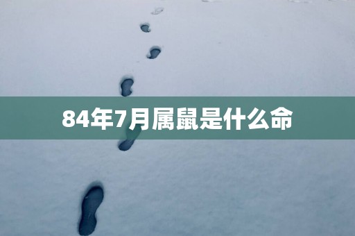 84年7月属鼠是什么命