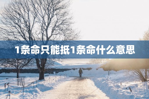 1条命只能抵1条命什么意思