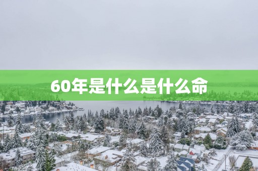 60年是什么是什么命