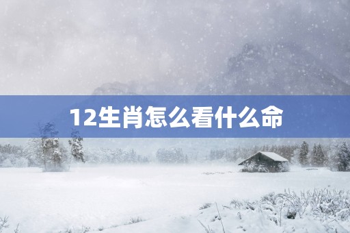 12生肖怎么看什么命