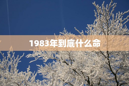 1983年到底什么命