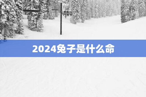 2025兔子是什么命