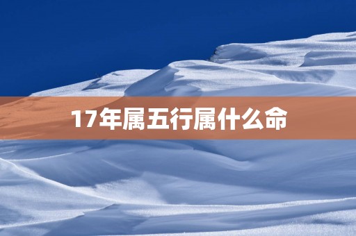 17年属五行属什么命