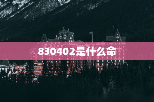 830402是什么命