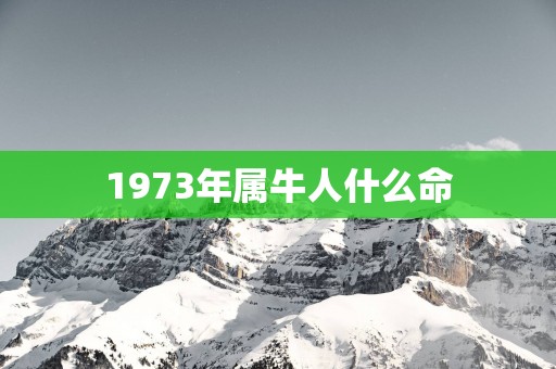 1973年属牛人什么命