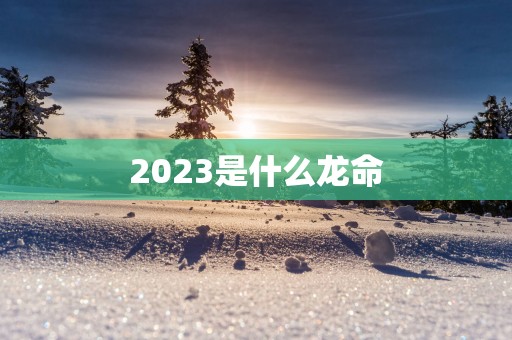 2025是什么龙命