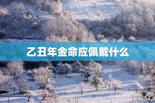 乙丑年金命应佩戴什么