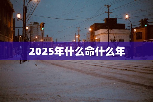 2025年什么命什么年