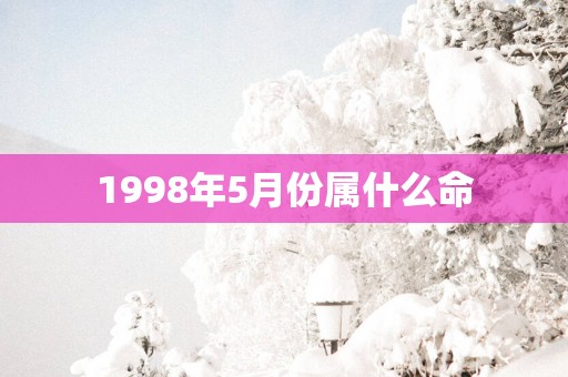 1998年5月份属什么命