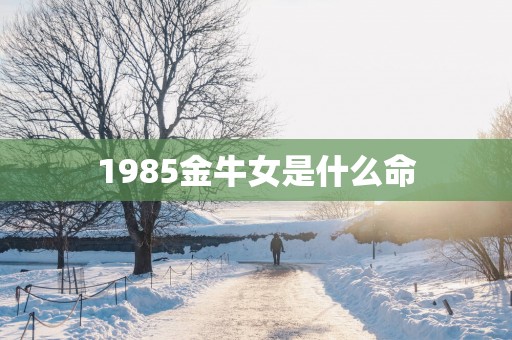 1985金牛女是什么命