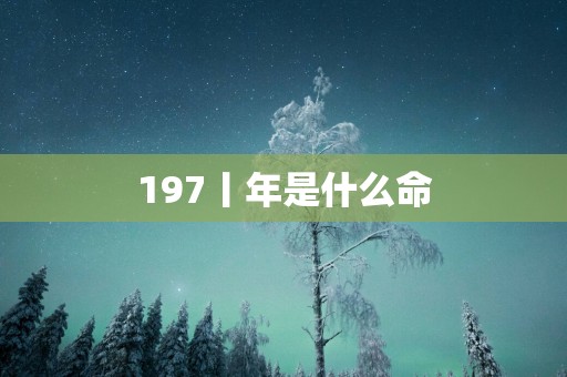 197丨年是什么命
