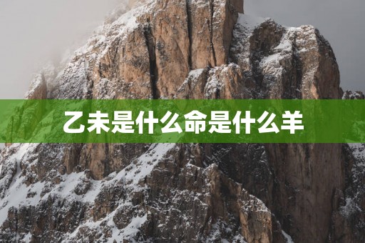 乙未是什么命是什么羊