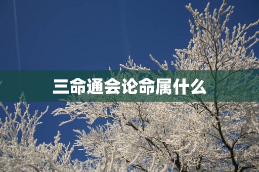 三命通会论命属什么