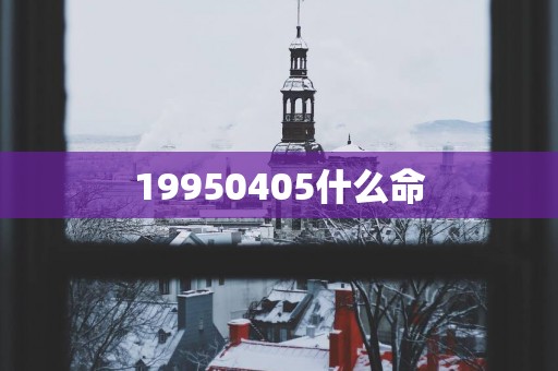 19950405什么命