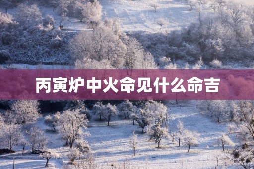 丙寅炉中火命见什么命吉