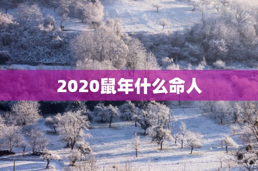 2025蛇年什么命人