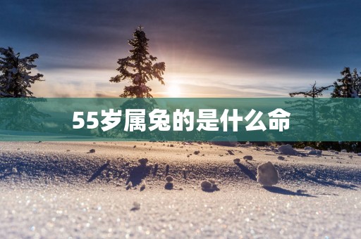 55岁属兔的是什么命