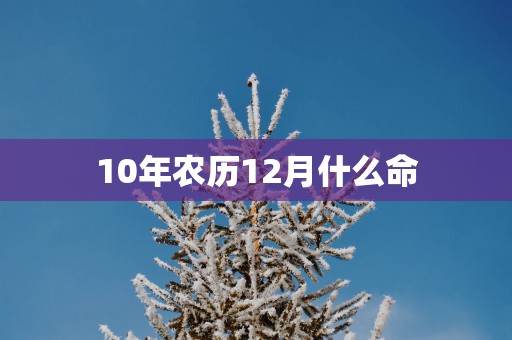 10年农历12月什么命