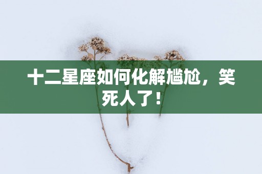 十二星座如何化解尴尬，笑死人了！