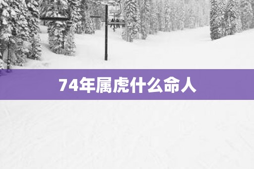 74年属虎什么命人