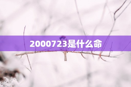 2000723是什么命