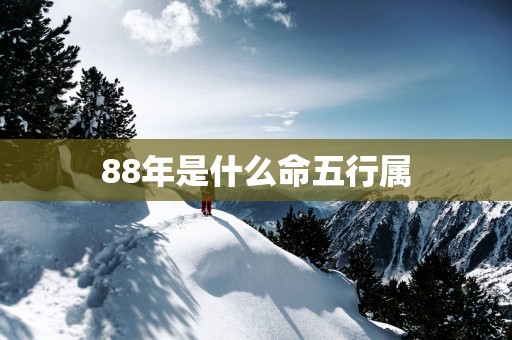 88年是什么命五行属