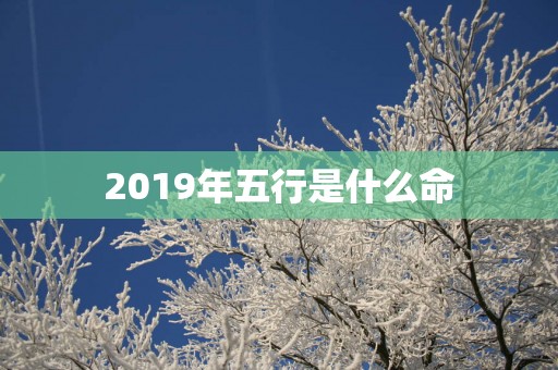 2019年五行是什么命