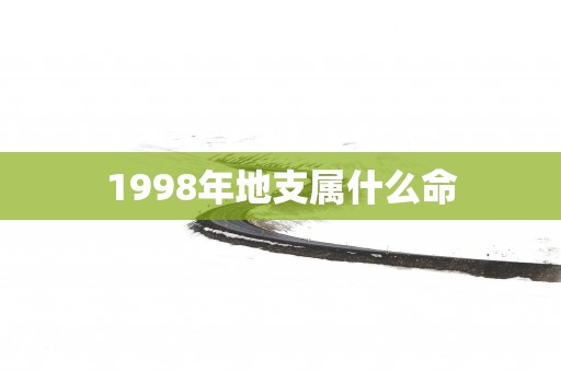 1998年地支属什么命