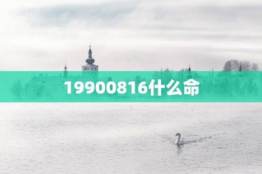 19900816什么命
