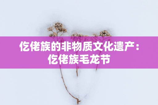 仡佬族的非物质文化遗产：仡佬族毛龙节