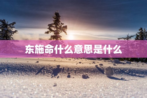 东施命什么意思是什么