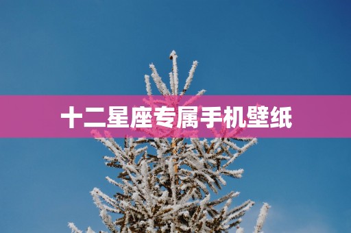 十二星座专属手机壁纸