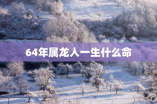 64年属龙人一生什么命