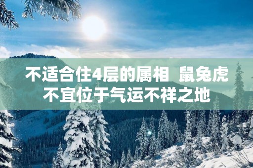 不适合住4层的属相  鼠兔虎不宜位于气运不祥之地