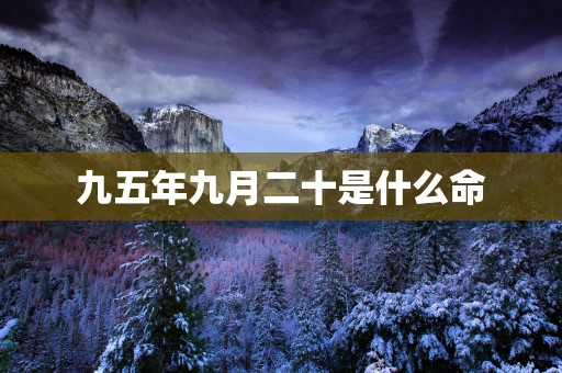 九五年九月二十是什么命