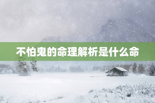 不怕鬼的命理解析是什么命