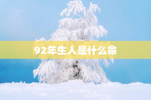 92年生人是什么命
