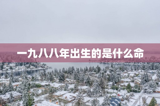 一九八八年出生的是什么命