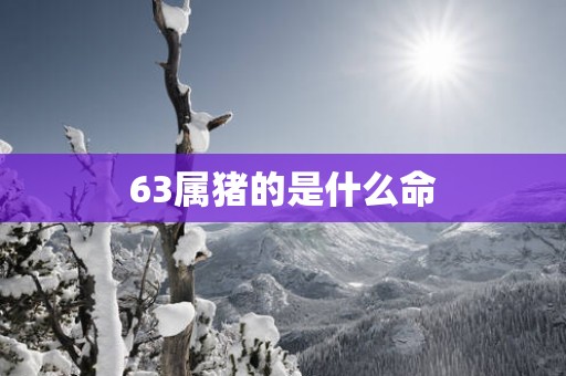 63属猪的是什么命