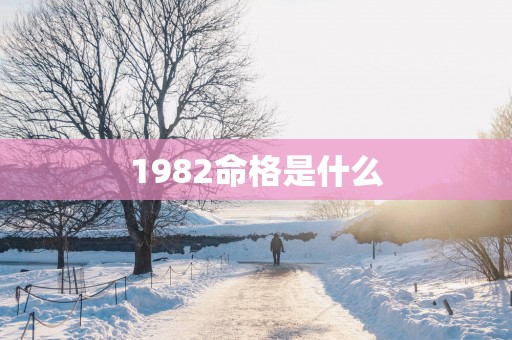 1982命格是什么